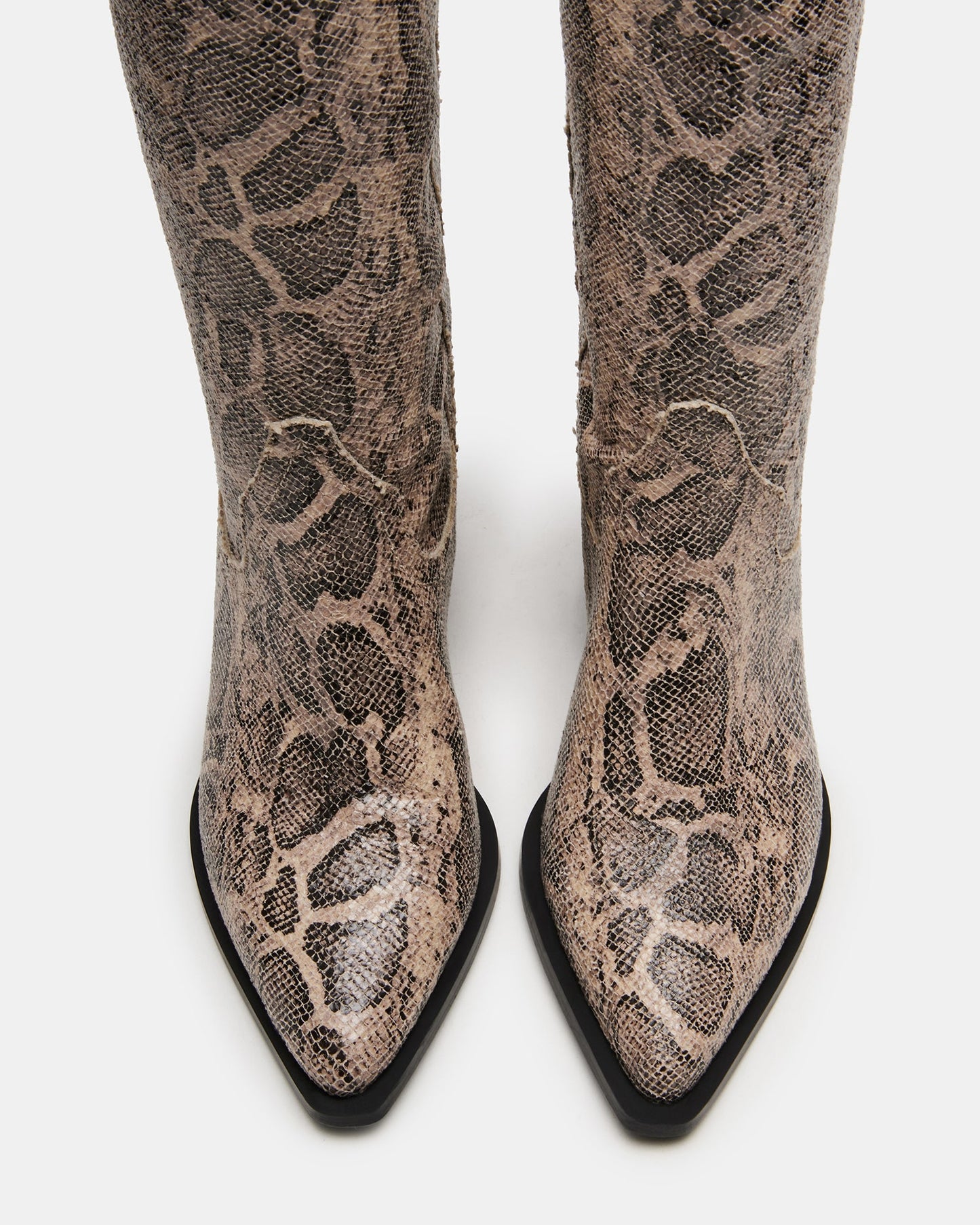 RATTLE SNAKE